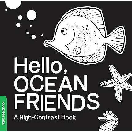 Hello Ocean Friends Board Book