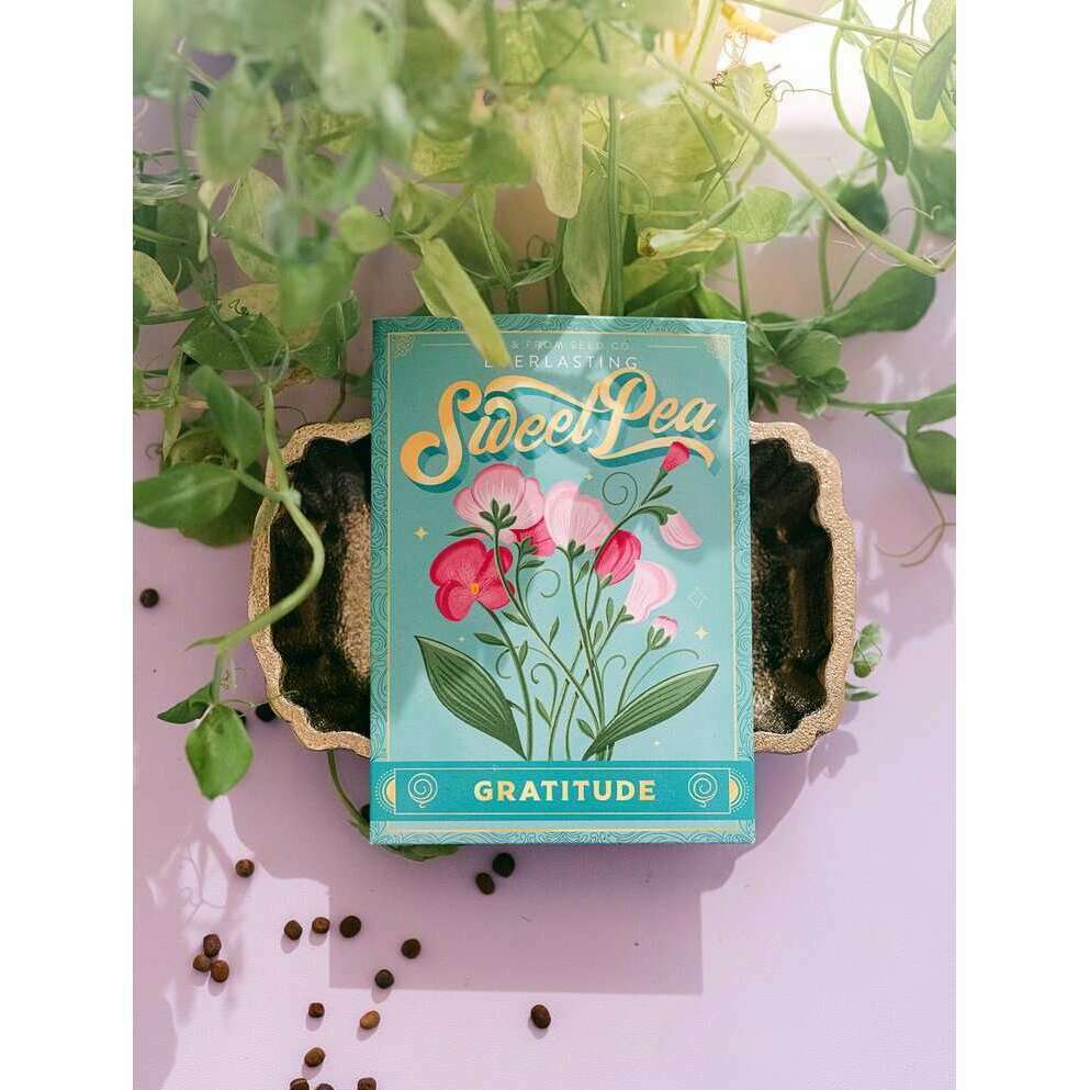To-and-From-Gift-Co-Everlasting-Sweet-Peas-Seed-Packet
