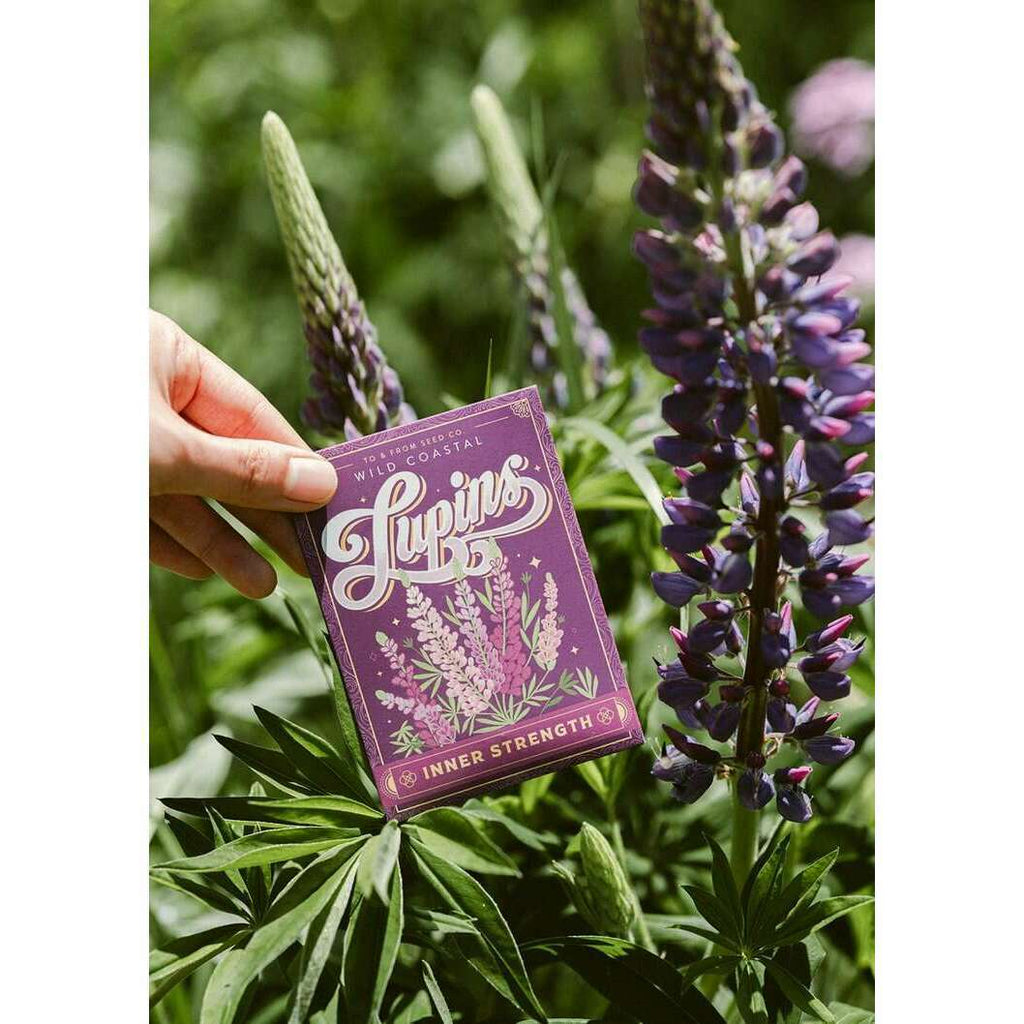 To-and-From-Gift-Co-Lupins-Seed-Packet