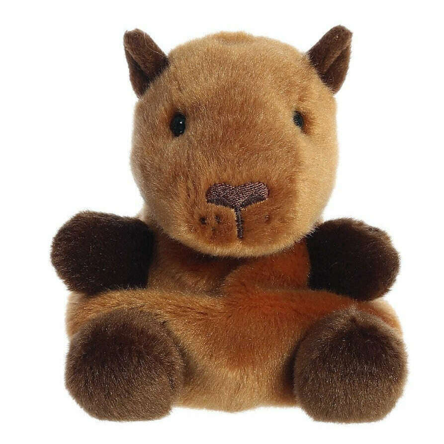 sid-capybara